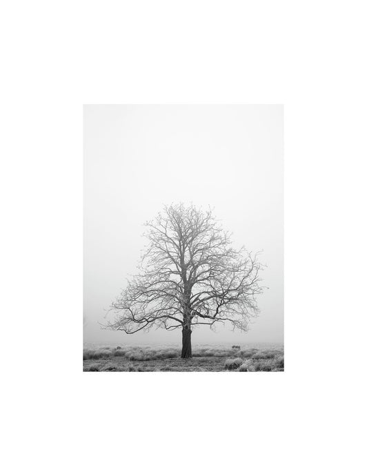 LONDON 078