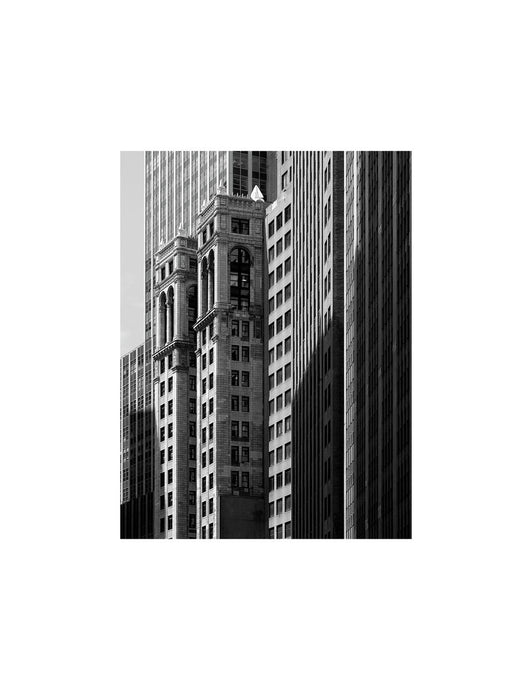 NEW YORK 75