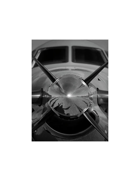 AUTOMOTIVE 21