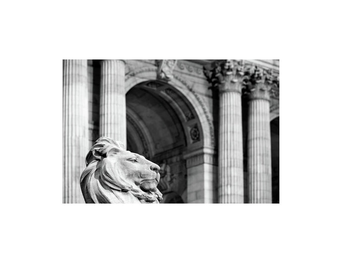 NEW YORK 31